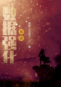 數據強化系統