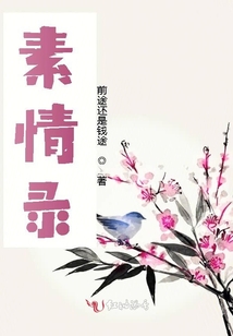 素情錄