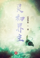 灵初界主在线阅读
