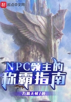 NPC领主的称霸指南在线阅读