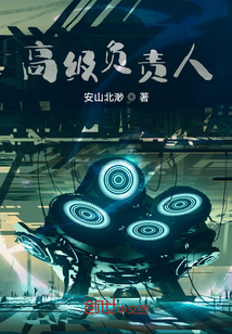 高級負(fù)責(zé)人