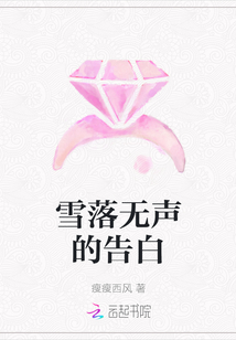 雪落無聲的告白