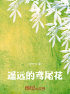 遥远的鸢尾花在线阅读
