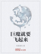 巨魔就要飞起来在线阅读
