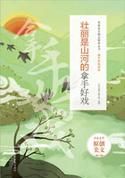 青春美文精品集萃丛书·拿手好戏系列:壮丽是山河的拿手好戏在线阅读
