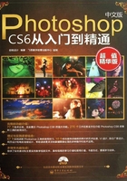 中文版Photoshop CS6从入门到精通