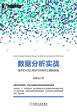 数据分析实战：基于EXCEL和SPSS系列工具的实践 封面