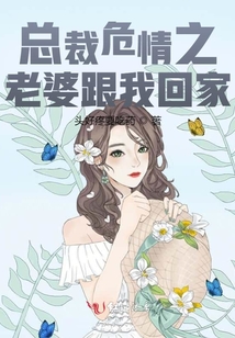 總裁危情之老婆跟我回家