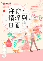 許你情深到白首在線閱讀