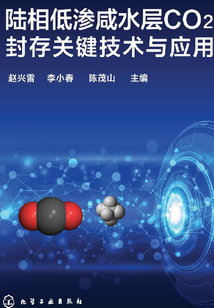陸相低滲咸水層CO2封存關鍵技術與應用