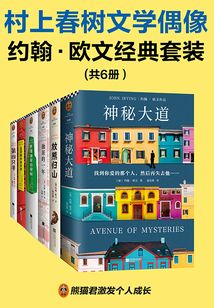 村上春樹(shù)文學(xué)偶像約翰·歐文經(jīng)典套裝(全6冊(cè))