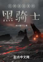 无期迷途里的黑骑士