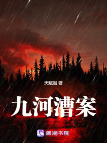 九河漕案