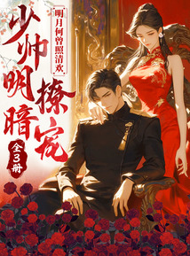 明月何曾照清欢：少帅明撩暗宠（全3册）在线阅读