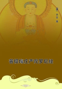 菩提塲莊嚴(yán)陀羅尼經(jīng)