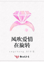 風吹愛情在旋轉在線閱讀