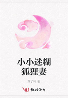 小小迷糊狐貍妻在線閱讀
