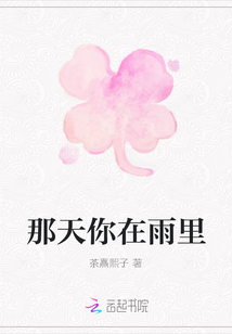 那天你在雨里