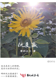阮麥藏