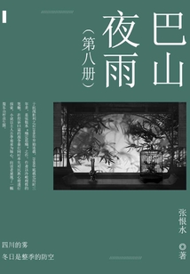 巴山夜雨（8）