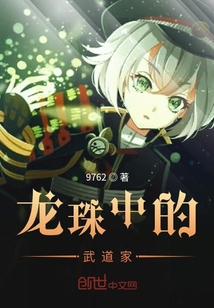 龍珠中的武道家
