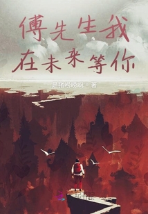 傅先生我在未來等你