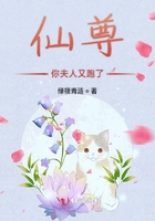 仙尊你夫人又跑了在線閱讀