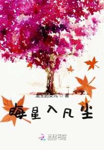 晦星入凡塵