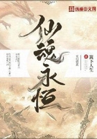 仙魂永恒在线阅读