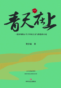 鄉(xiāng)村志.第6卷:青天在上