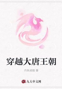 穿越大唐王朝