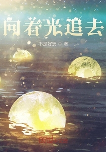 向著光追去