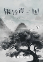 銀錘震三國在線閱讀