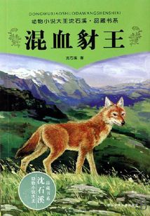 混血豺王