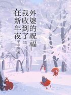 在新年夜我收到了外婆的祝福在线阅读