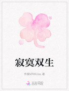 寂寞双生在线阅读