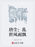 唐塵：亂世風雨飄在線閱讀