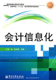 會計信息化