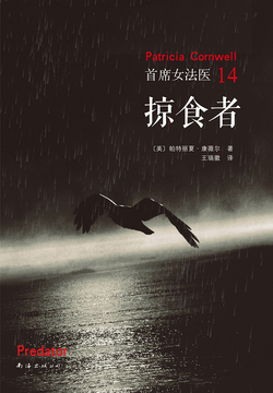 《首席女法医14：掠食者》封面