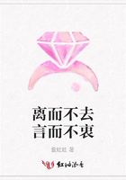 離而不去言而不衷在線閱讀