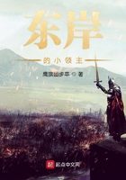 東岸的小領主在線閱讀