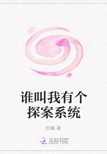 誰叫我有個探案系統