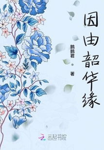 因由韶華緣