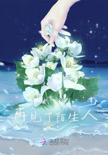 再见了陌生人