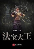 法寶大王在線閱讀