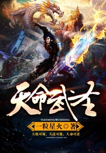 天命武圣