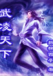武凌天下