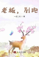 老板，別跑！在線閱讀