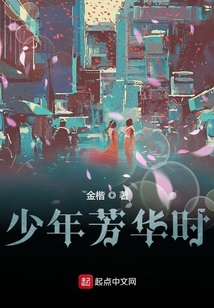 少年芳华时