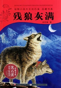 殘狼灰滿